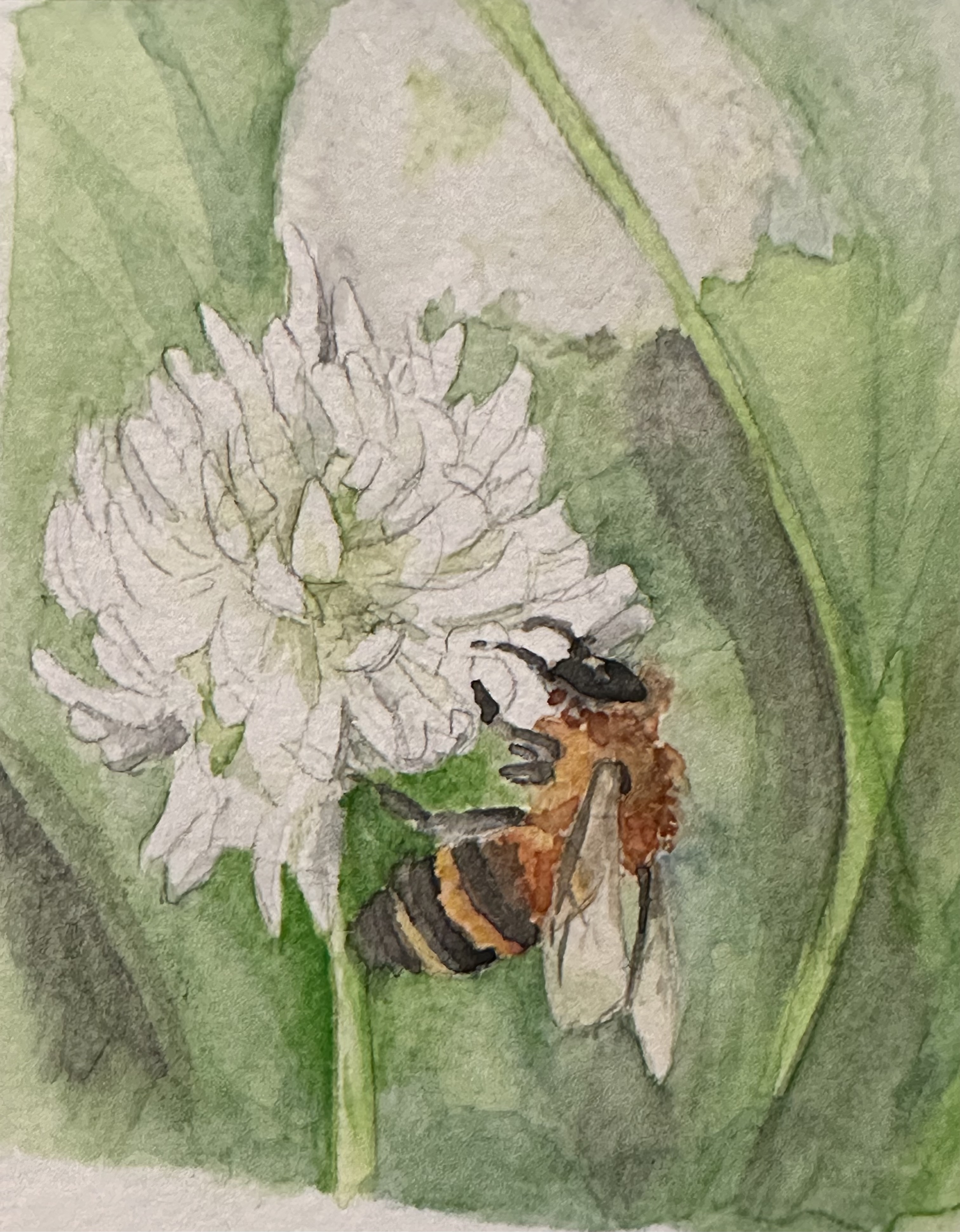 2023 - Bee Watercolour Painting